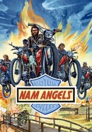 'Nam Angels poster image