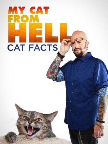 My Cat From Hell Cat Facts Season 1 Rotten Tomatoes
