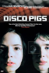 Disco Pigs