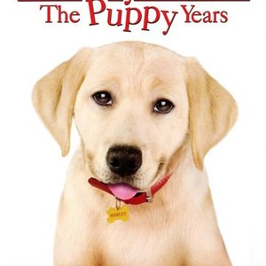 Marley & Me: The Puppy Years (2011)