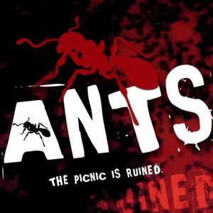 Ants! photo 9