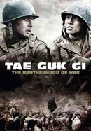 Tae Guk Gi: The Brotherhood of War poster image
