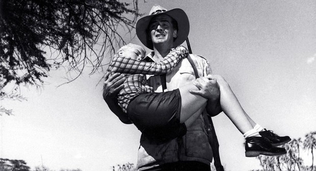 Safari | Rotten Tomatoes