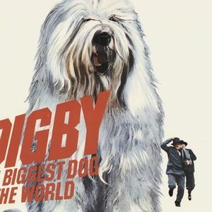 Digby, the Biggest Dog in the World photo 1