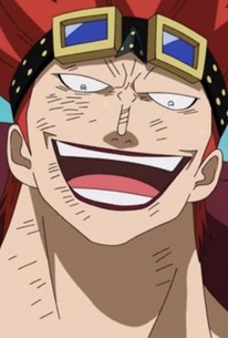 One Piece: Season 4, Episode 23 - Rotten Tomatoes