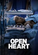 Open Heart poster image