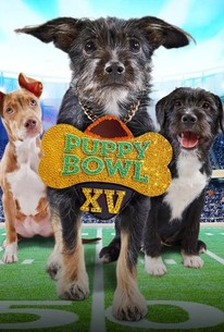 Puppy Bowl Xv 