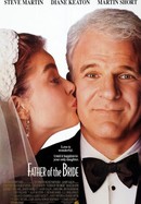 Father of the Bride poster image