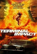 Terminal Impact poster image