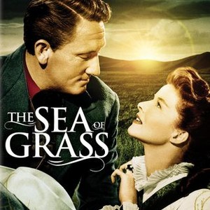 The Sea of Grass (1947) photo 15