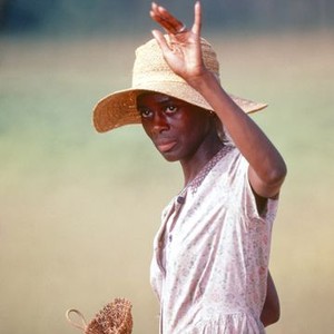 Sounder (1972) photo 2