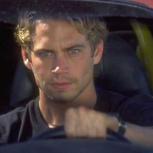 The Fast And The Furious Movie Quotes Rotten Tomatoes