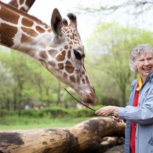 The Woman Who Loves Giraffes (2018) photo 9