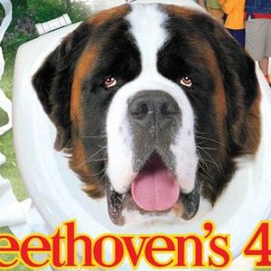 Beethoven's 4th photo 4
