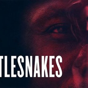 Rattlesnakes photo 4