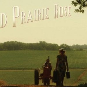 wild prairie rose movie reviews