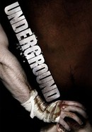 Underground poster image