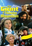 The Giant of Thunder Mountain poster image