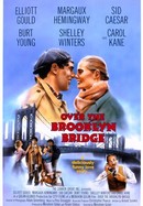 Over the Brooklyn Bridge poster image