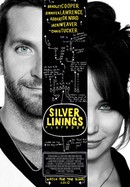 Silver Linings Playbook poster image