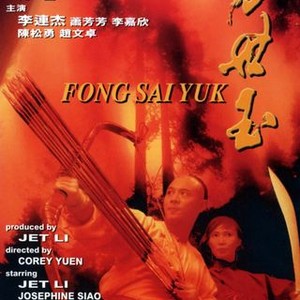 Fong Sai-Yuk (1993) photo 7