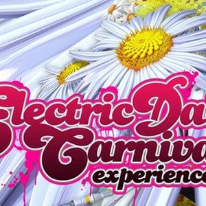 Electric Daisy Carnival Experience | Rotten Tomatoes
