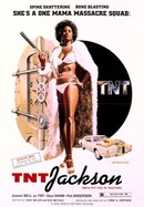 TNT Jackson poster image