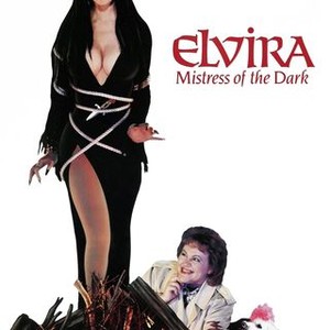 "Elvira, Mistress of the Dark photo 11"