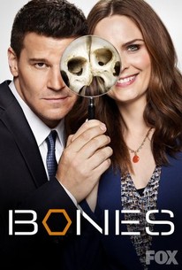 Watch trailer for Bones