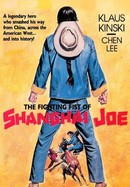 The Fighting Fists of Shanghai Joe poster image