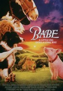 Babe poster image