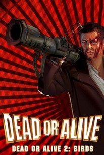Poster for Dead or Alive 2: Birds