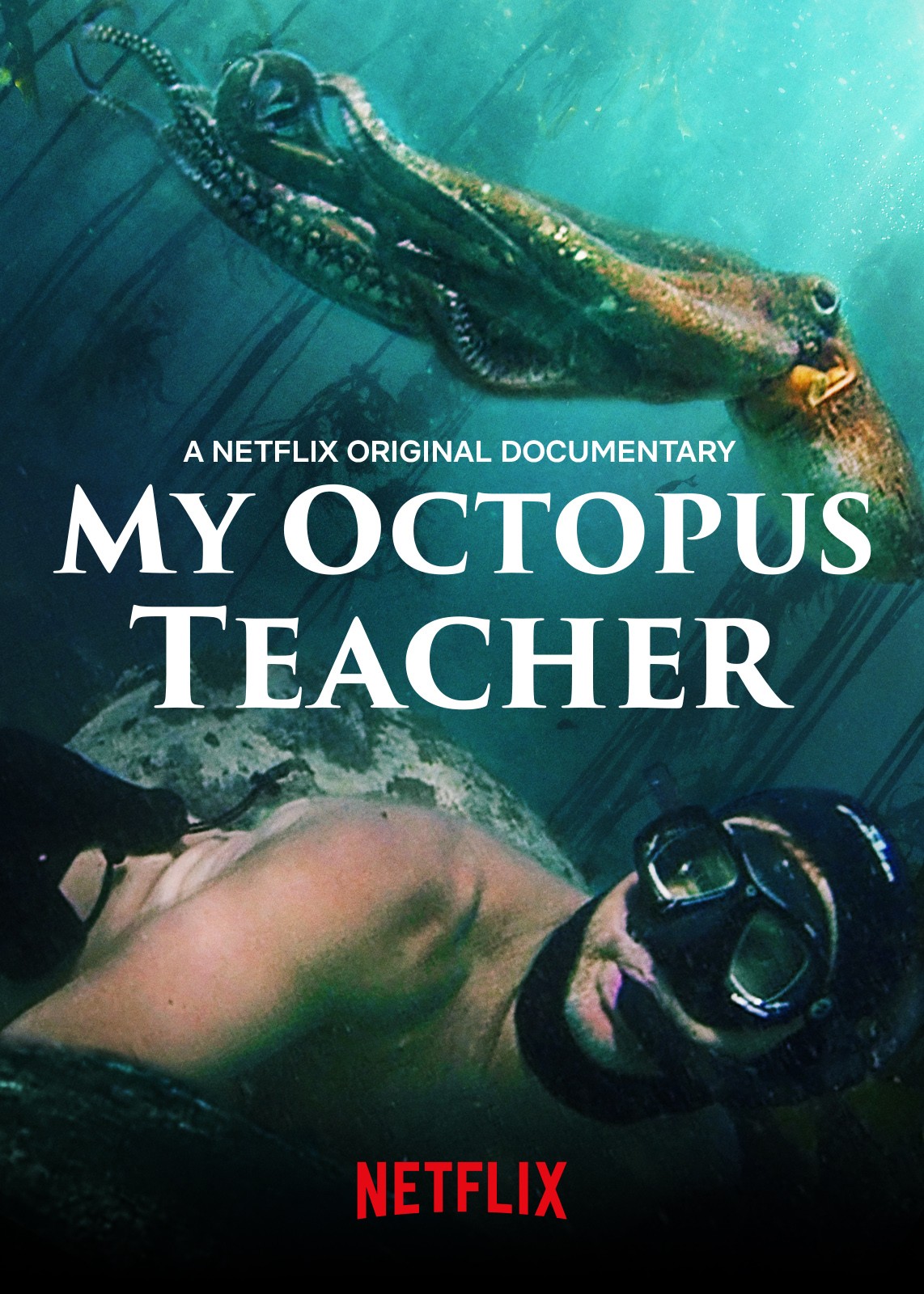 movie review my octopus teacher