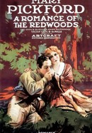 A Romance of the Redwoods poster image