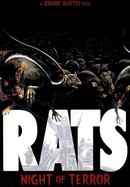 Rats poster image