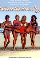 Where the Boys Are '84 poster image