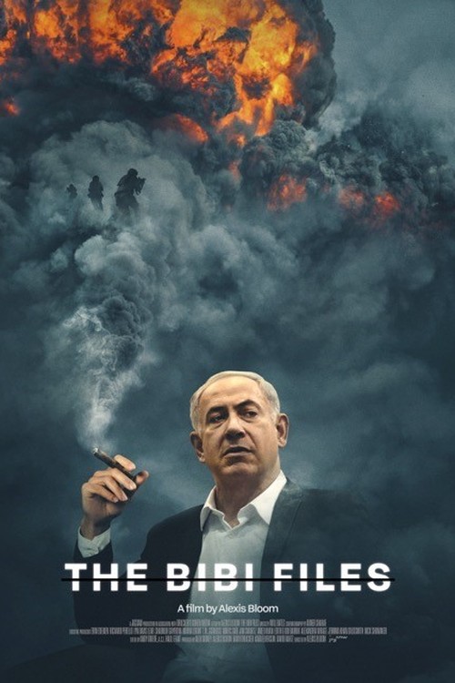 The Bibi Files poster