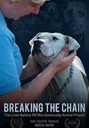 Breaking the Chain poster image