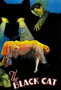 黒猫 / The Black Cat