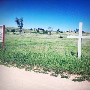 Land Rotten Tomatoes