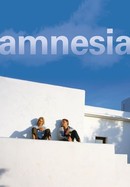 Amnesia poster image