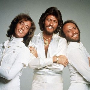 The Bee Gees: How Can You Mend a Broken Heart (2020) photo 17