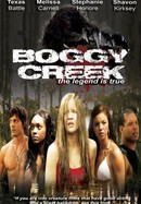 Boggy Creek poster image