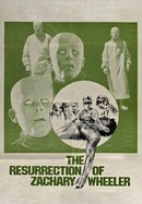 The Resurrection of Zachary Wheeler poster image