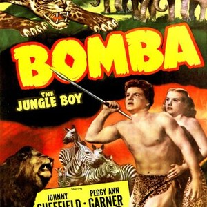 Bomba, the Jungle Boy photo 2