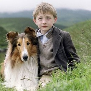 Lassie (2005) - Rotten Tomatoes