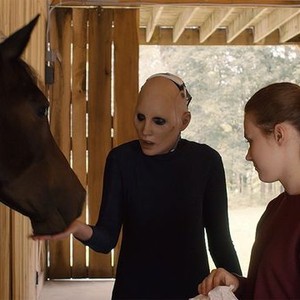 The Alpha Test (2020)