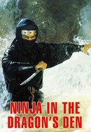 Ninja in the Dragon's Den poster image