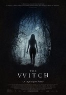 The Witch poster image