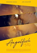 Angelfish poster image